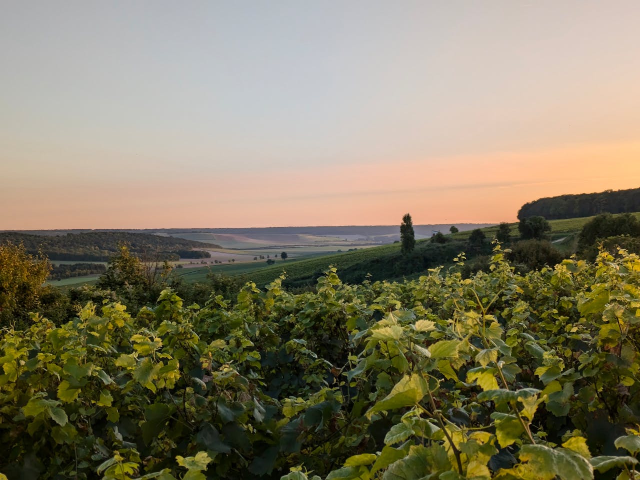 Week-end en Champagne : les expériences les plus originales