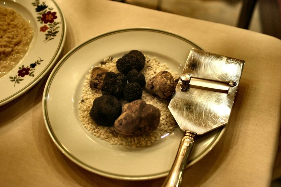 La truffe en cuisine : histoire et utilisation