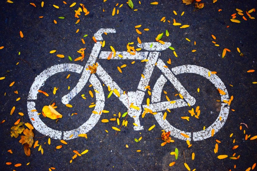Points à contrôler avant d'acheter un VTT